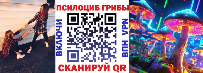 OMG ТОР  Тосно  Галлюциногенные грибы мухоморы  купить  цена 